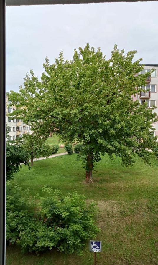 Apartament Mazury Kętrzyn Zewnętrze zdjęcie
