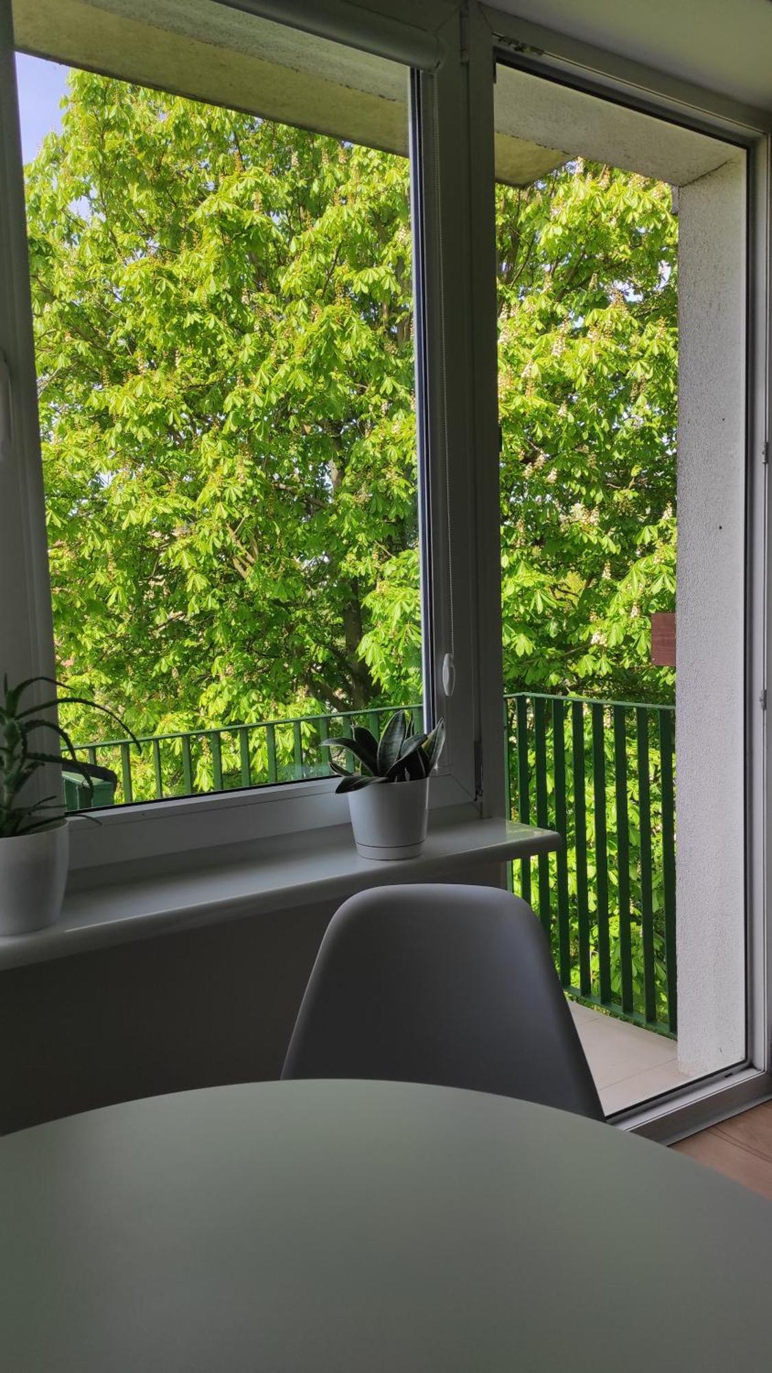 Apartament Mazury Kętrzyn Zewnętrze zdjęcie